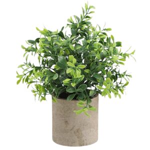 Small Table Plant E in Pulp Pot